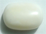 Picture of White Coral 