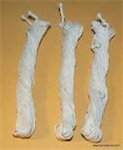 Picture of 3 Sacred Thread Janoi, Janu Janayu or Yagnyopavit 
