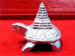 Picture of Parad Kachap Shri Yantra / Kachap Shree Yantra -150 gm(750 ct) -2 inches