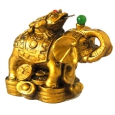 Picture of Small Money Coin Frog on Elelphant