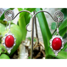 Picture of Ethnic Stone Earring SE14